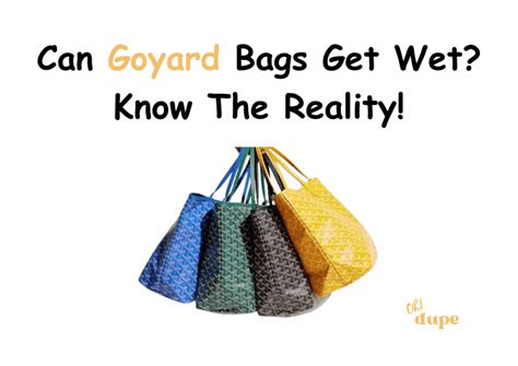 can goyard bags get wet|goyard swimwear waterproof.